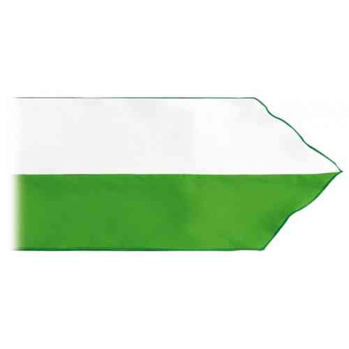 Fajín Bandera 100x10   color Verde/Blanco